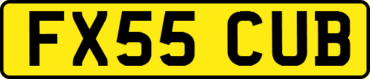 FX55CUB