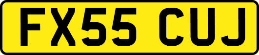 FX55CUJ