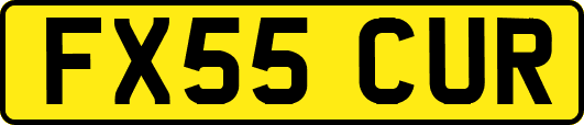 FX55CUR