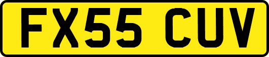 FX55CUV