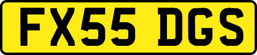FX55DGS