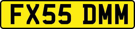 FX55DMM