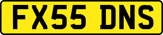 FX55DNS