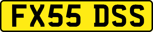 FX55DSS