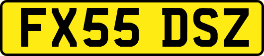 FX55DSZ