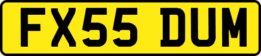 FX55DUM