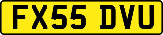 FX55DVU