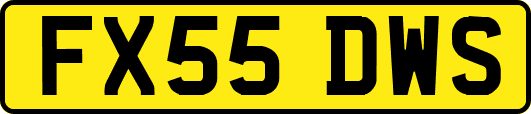 FX55DWS