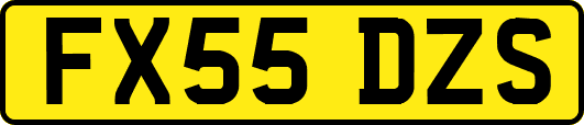 FX55DZS