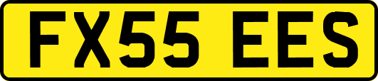 FX55EES
