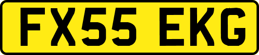FX55EKG