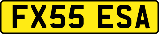 FX55ESA