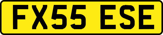 FX55ESE