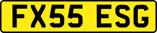 FX55ESG