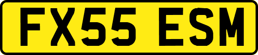 FX55ESM
