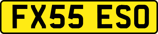 FX55ESO