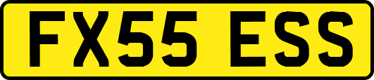 FX55ESS