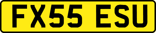 FX55ESU