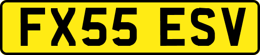 FX55ESV