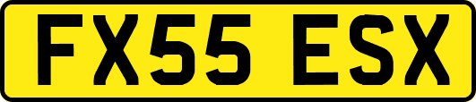 FX55ESX