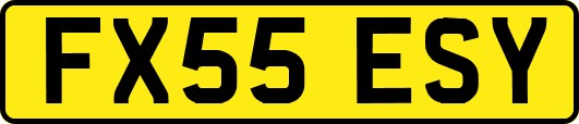 FX55ESY