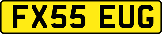 FX55EUG