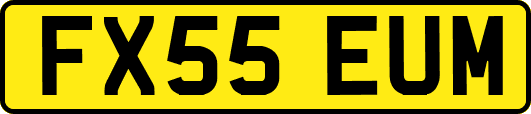 FX55EUM