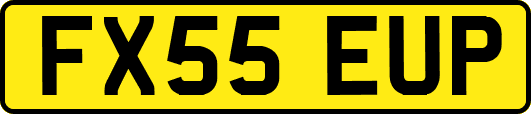 FX55EUP
