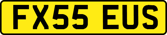 FX55EUS