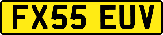 FX55EUV