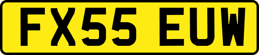FX55EUW