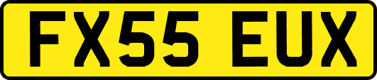FX55EUX