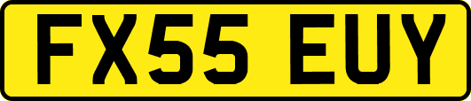 FX55EUY