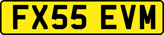 FX55EVM