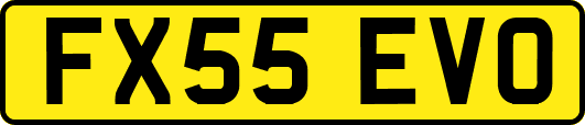 FX55EVO