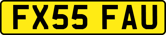 FX55FAU