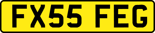 FX55FEG