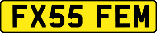 FX55FEM