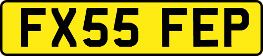 FX55FEP