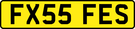 FX55FES