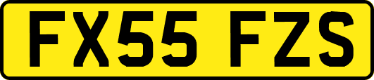 FX55FZS