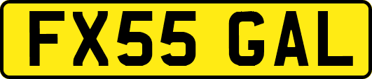 FX55GAL