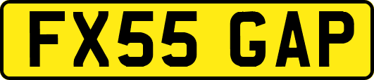 FX55GAP