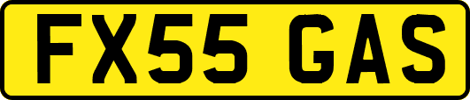 FX55GAS