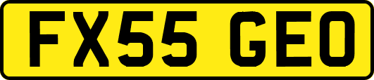 FX55GEO