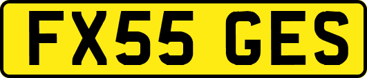 FX55GES
