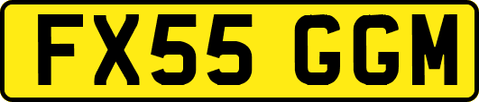 FX55GGM