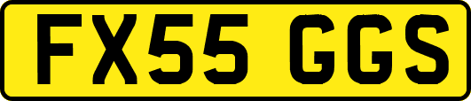 FX55GGS