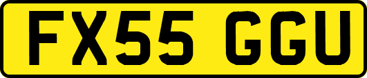 FX55GGU