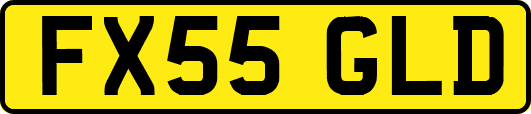 FX55GLD